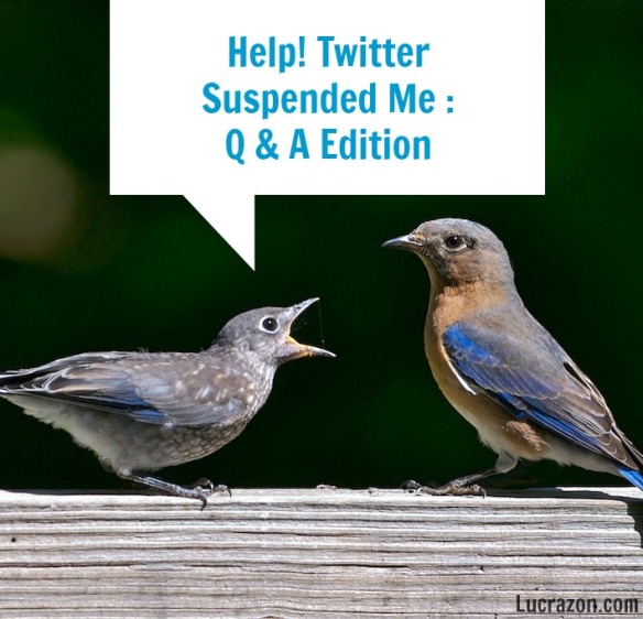 Help! Twitter Suspended Me: Q & A Edition